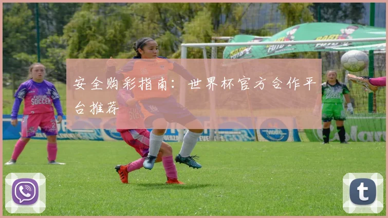 安全购彩指南：世界杯官方合作平台推荐