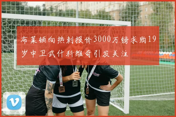 布莱顿向热刺报价3000万镑求购19岁中卫武什科维奇引发关注